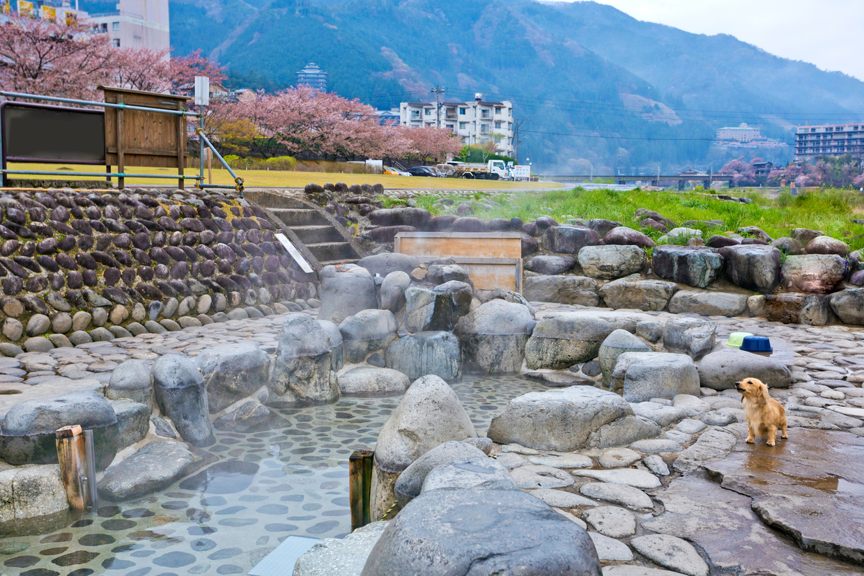 下呂温泉ナイトク - 下呂温泉ナイトクラブスターダスト Gero Onsen