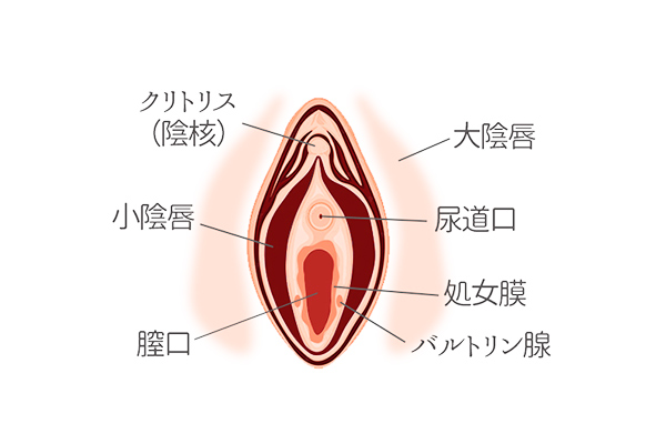 ヤリチンが解説】まんこがぬるぬるする=感じているじゃない!?本当に気持ちいいとこうなる！ | Trip-Partner[トリップパートナー]