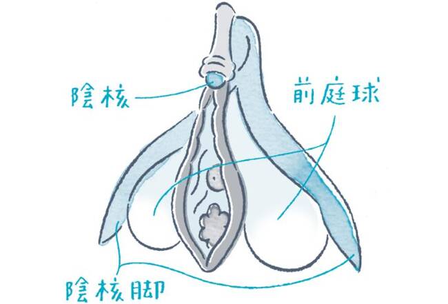 【上級者向け】女性が本当に気持ちがいい手○ン方法３選！