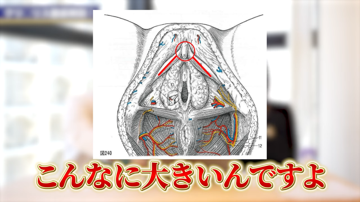 手だけで彼を気持ちよくさせる25のアドバイス