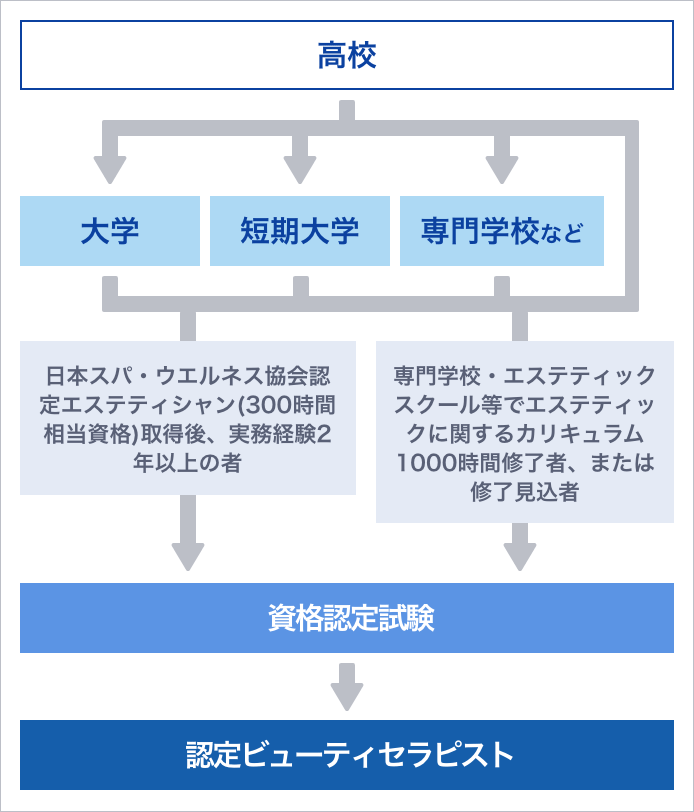 ピッタリのお仕事を見つけるには？まずはエステティシャンの種類を知ろう！ | BeAle（ビアーレ） BeautyNote