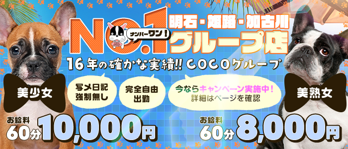 最新】姫路/加古川/高砂のM性感デリヘル おすすめ店ご紹介！｜風俗じゃぱん