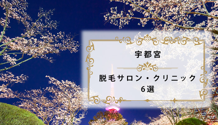 Dione（ディオーネ）とは？脱毛料金・施術部位・店舗一覧など - MOTEHADA