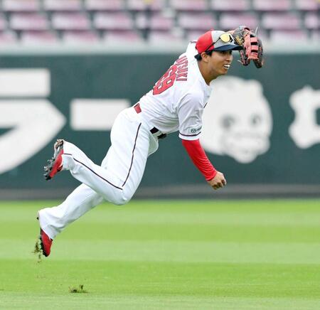 フロアマップ公開中】ガイア大泉学園店 | 練馬区