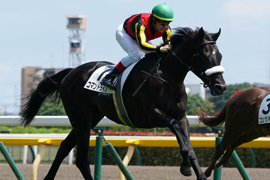 【現地】アルジャンナ メイクデビュー阪神 最後の直線