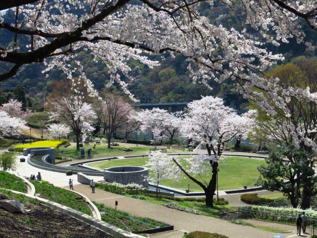 津久井湖周辺に近い安く泊まれるホテル・旅館 【Yahoo!トラベル】