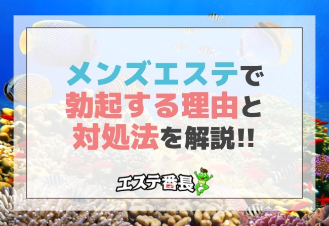 女性向け】男性がメンズエステにハマるワケとは？何が楽しいのかセラピスト目線で考えてみた｜リラマガ