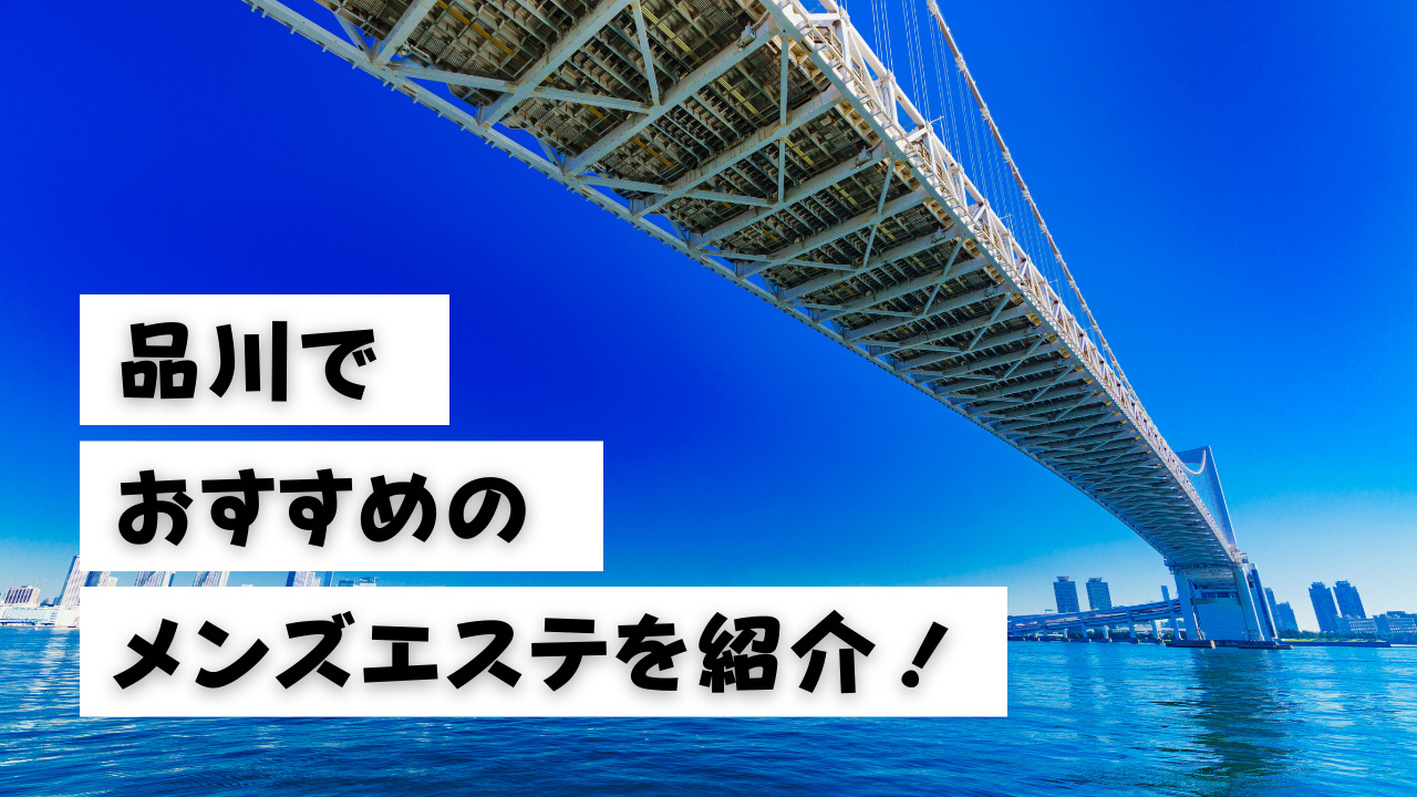 品川/浜松町 巨乳メンズエステ D＋(ディープラス)