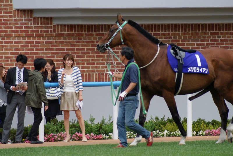 鷲見玲奈 エロで視聴率を稼ぐ競馬番組 【お宝キャプ画像｜セクシーテレビジョン】