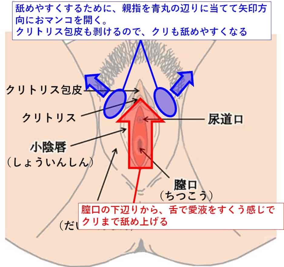 男がクンニしたいと思う理由とは？ まんこを舐めたい時・舐めたくない時の本音 |