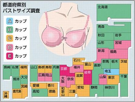 巨乳遺伝子が持つ不思議な力とは？その理由を紹介 | ぴゅあらばSHOPマガジン