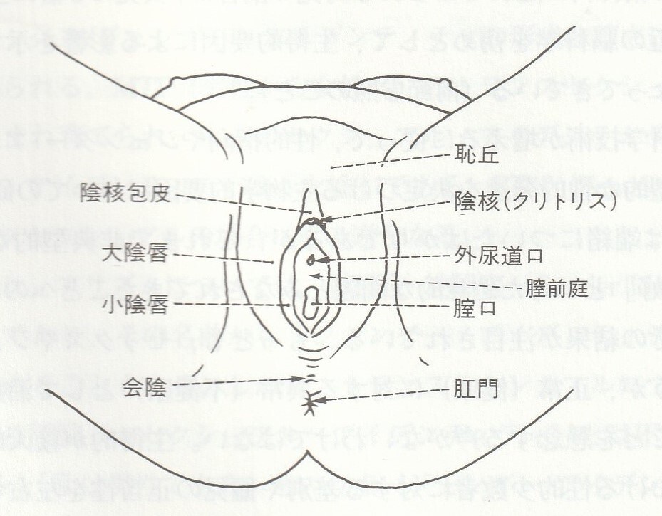 イク」って、正直どんな感じ？