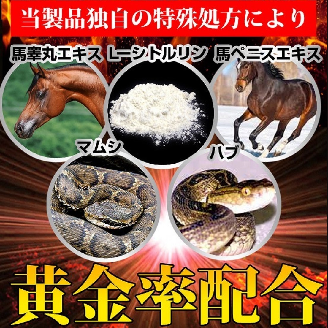 日本凝縮黒ウコンDEX AV男優怪物爆發兇猛擴大鋼鐵巨