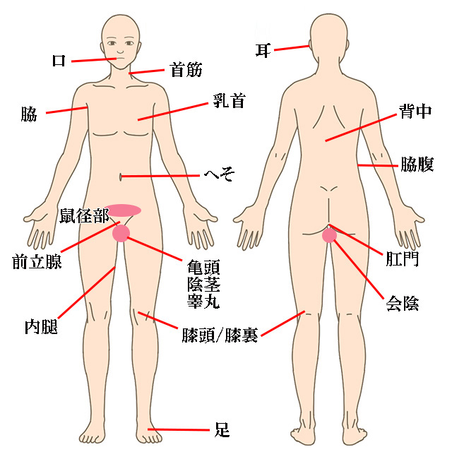 新たな性感帯】へそオナニーの魅力と専用へそオナグッズ10選 | STERON