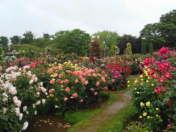 よみうりランド眺望温泉 花景の湯 - 多摩・府中・調布周辺｜ニフティ温泉