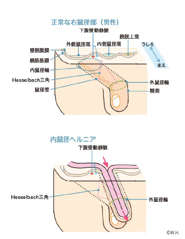 婦人科｜新大久保の美容外科 百人町アルファクリニック | 百人町アルファクリニック 新大久保