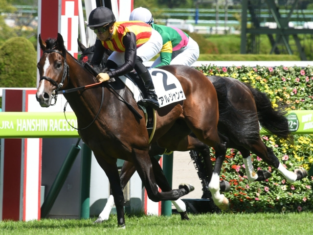 東スポ杯2歳S］コントレイル、ワグネリアン、イスラボニータ……クラシックの登竜門を駆け抜けた名馬たち。 | ウマフリ