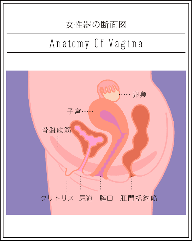 濡れやすい彼女はどう？エッチで濡れる理由 - 夜の保健室