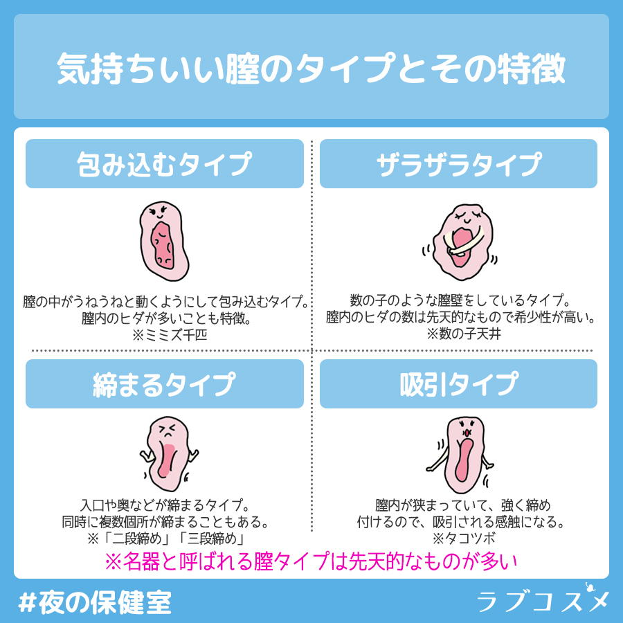 名器とは？その種類や特徴と名器を作る名器形成について | コラム一覧｜ 東京の婦人科形成・小陰唇縮小・婦人科形成（女性器