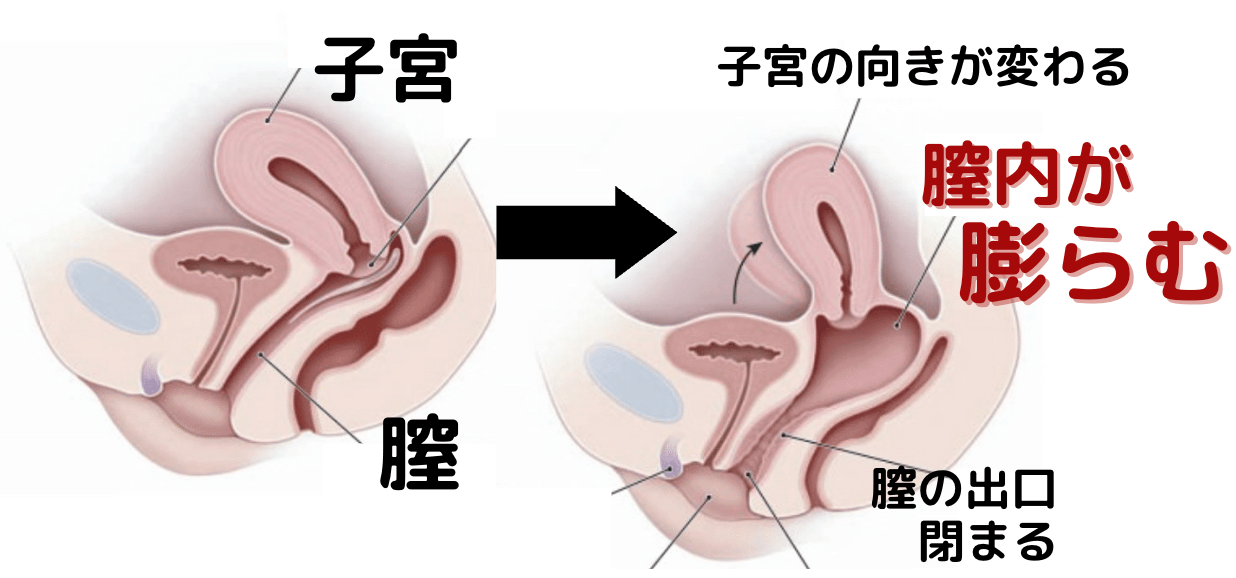 後背位ポーズ集2 - CLIP STUDIO ASSETS