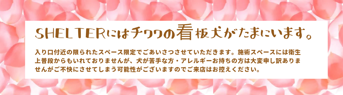 山口県鍼灸マッサージ師会：公開講座