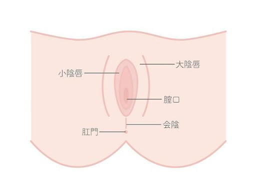 驚愕ルポ】モロマン激撮イベ！オジサマ達の前でくぱぁ…する闇バイト32「指2本膣口にブチ込み掻き回すズボズボハードオナ」 |  デジタルコンテンツのオープンマーケット