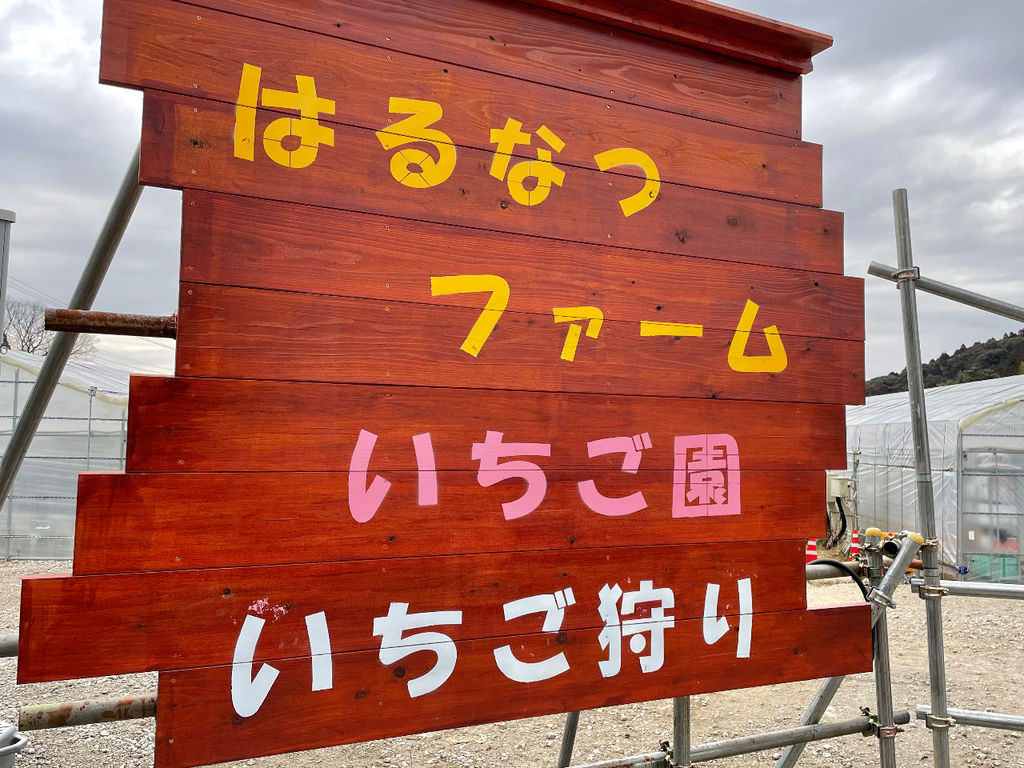 数量限定]東金オリーブ入り『東金天門どう』スタンドパックが出ました！ | 道の駅