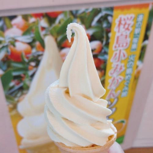 ソフトクリーム🍦 すこーし前の話 この前食べたばかりだけど。。。