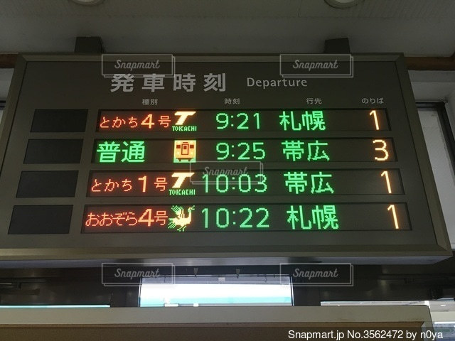 迷子クサガメ】北海道札幌市南区澄川5条12丁目で迷子になりました。No.16524