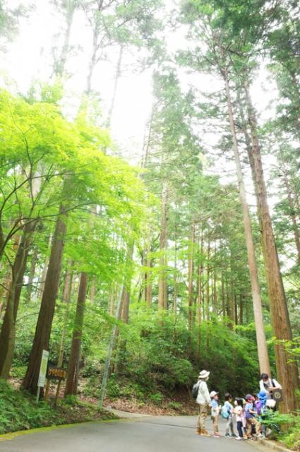 涼を求めて「南足柄市・夕日の滝」水しぶきを浴びればひんやり感は気温以上 – 神奈川・東京多摩のご近所情報 – レアリア