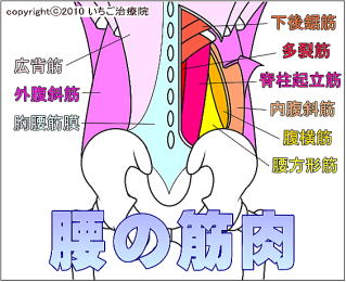 上付き・下付きマンコに最高のセックス体位【図解・動画】 | セクテクサイト