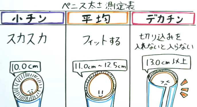 ペニスの大きさ平均は13cm！女性の理想サイズはさらにデカい！？｜薬の通販オンライン