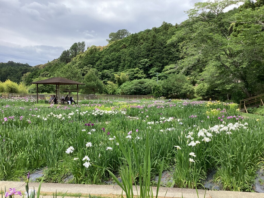 Ｉｒｉｓ １０４ 1K 名古屋市南区の貸アパートの物件情報｜賃貸(アパート・マンション・一戸建て)｜一宮 市の不動産なら賃貸・売買ギブリ：6725202d7f54e656eb21709d