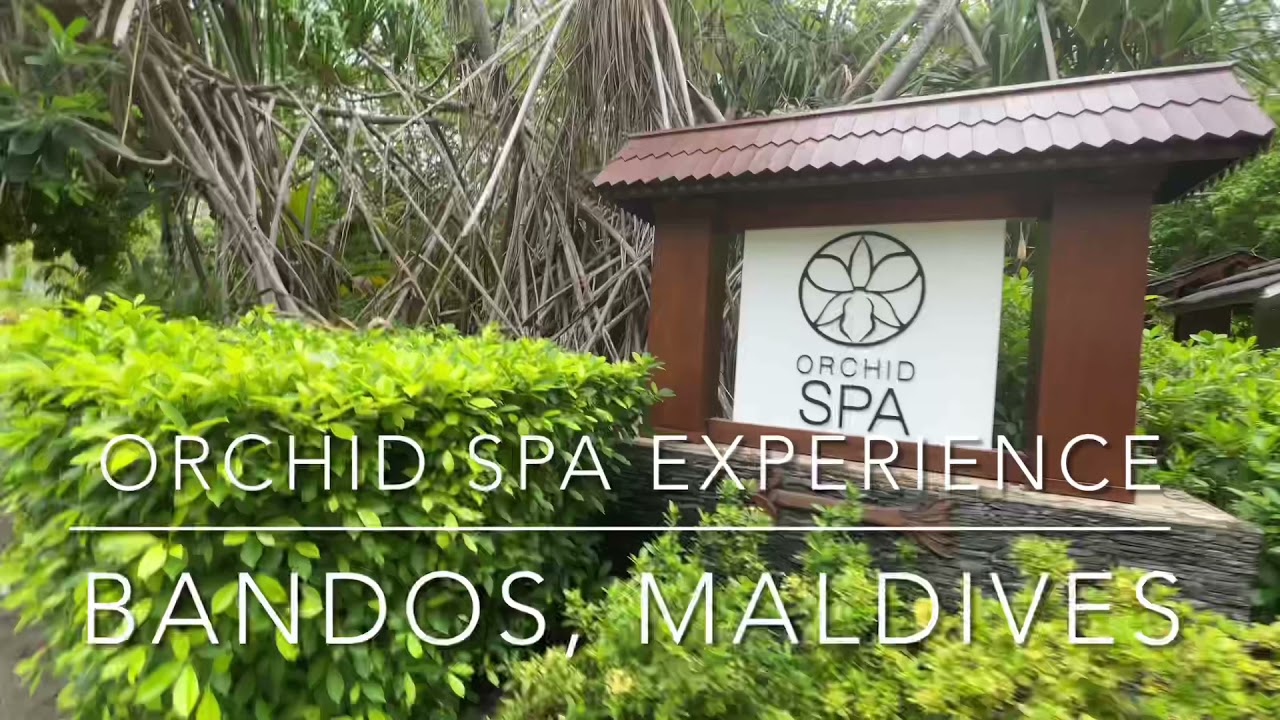 NEW ORCHID SPA -